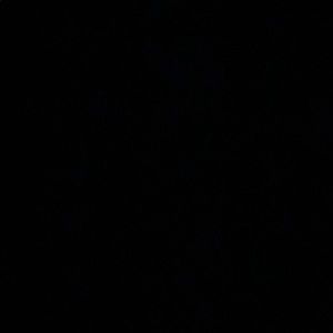 Meet your Posher, Brooklynn